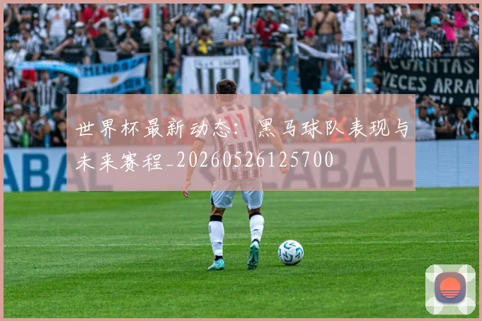 世界杯最新动态:黑马球队表现与未来赛程_20260526125700