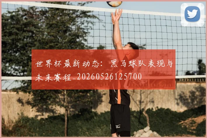 世界杯最新动态:黑马球队表现与未来赛程_20260526125700