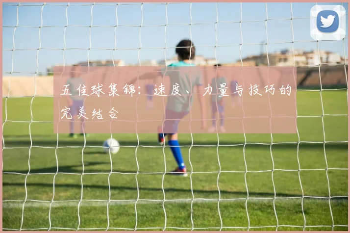 五佳球集锦:速度、力量与技巧的完美结合